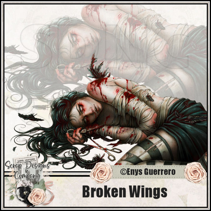 (image for) Broken Wings